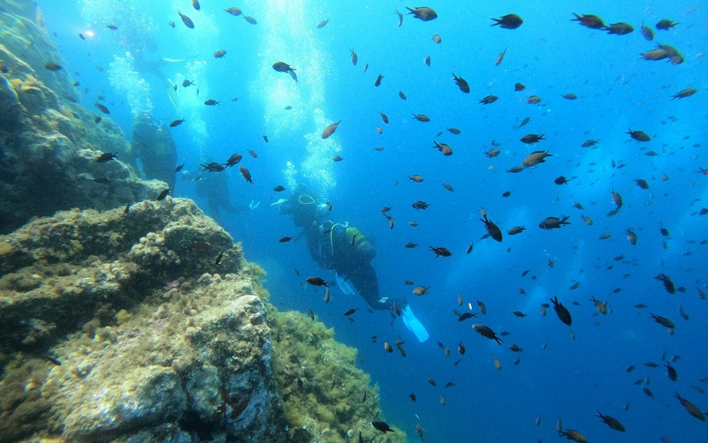 Sortie week-end à l’ile du Levant – Juin 2022