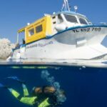 Sortie Plongée Londe les Maures - Réponse avant le 15 mars